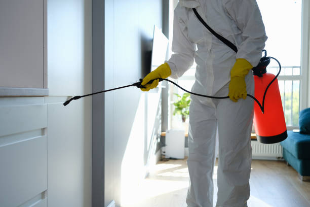 Trusted Fernley, NV Mold Remediation Experts