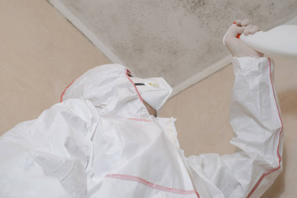 Best Residential Mold Remediation in Fernley, NV